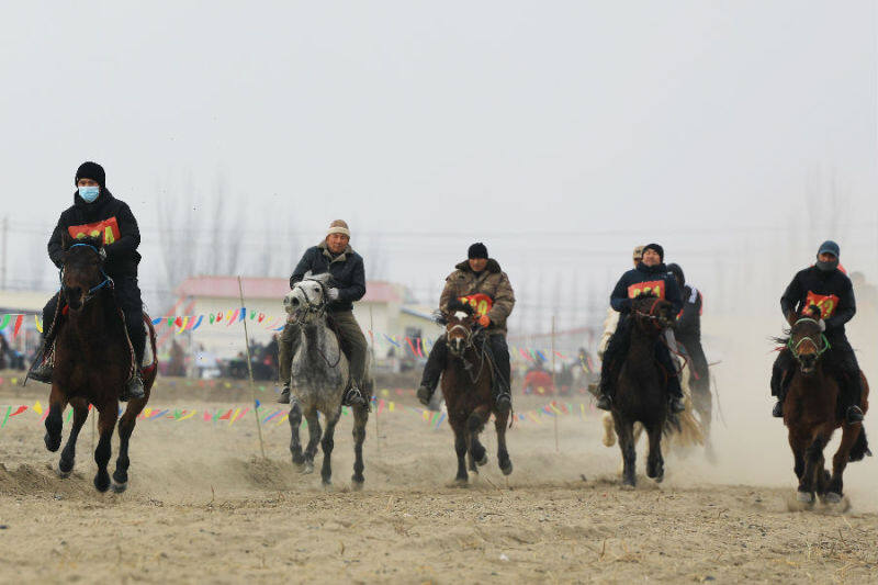 圖為1月8日，騎手在賽場馳騁。（胡侍琦 攝）