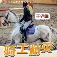 蘇州兒童暑期夏令營三六六教育社會實踐之馬術騎士精英活動報名